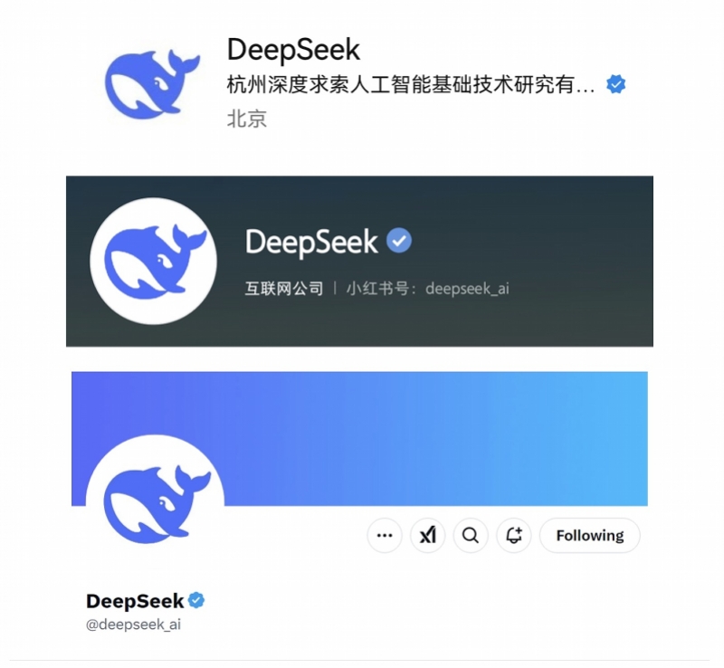 深受仿冒收费账号困扰的DeepSeek：已暂停API充值(图1)